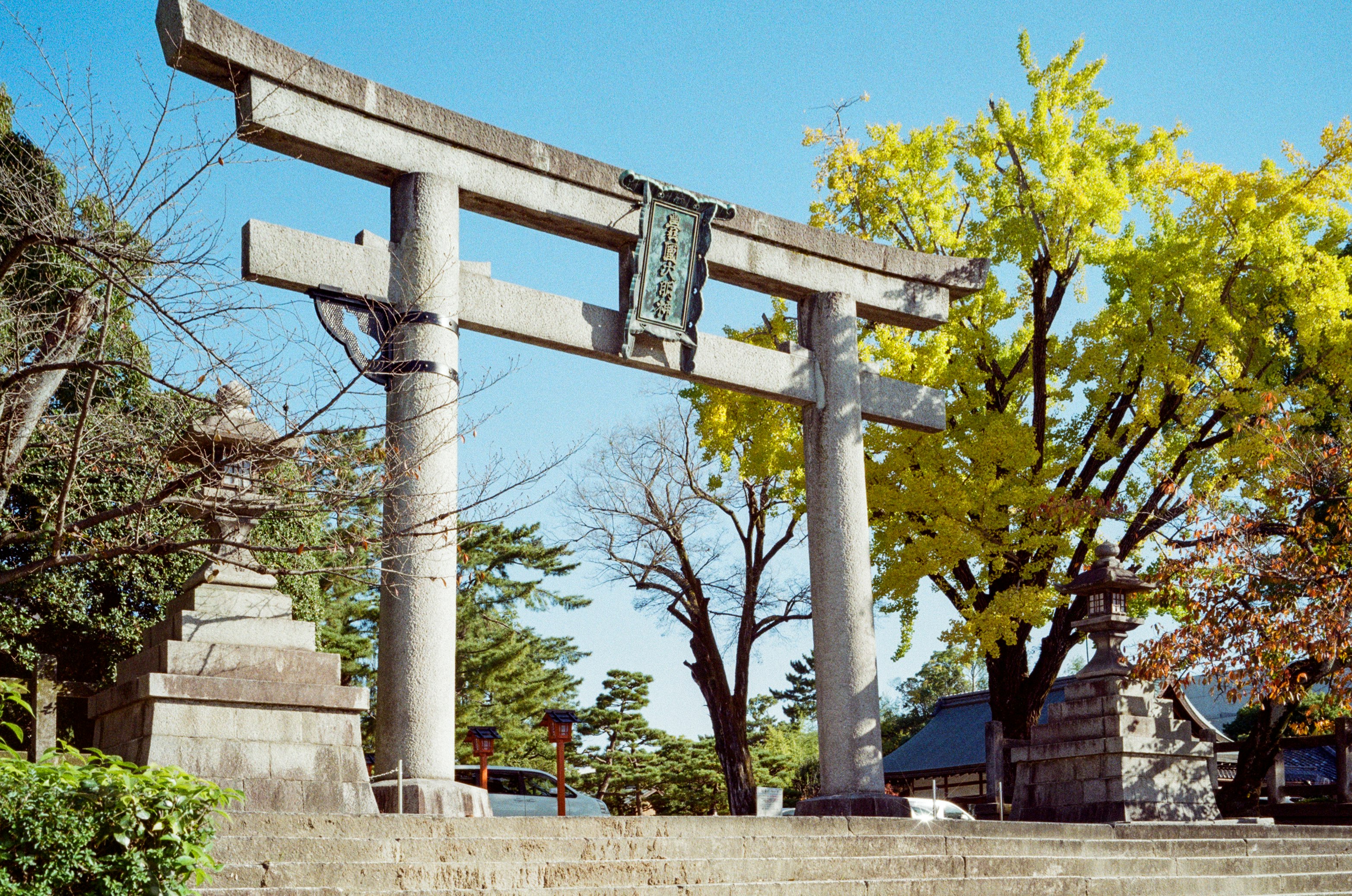 gray concrete bench near green trees under blue sky during daytime